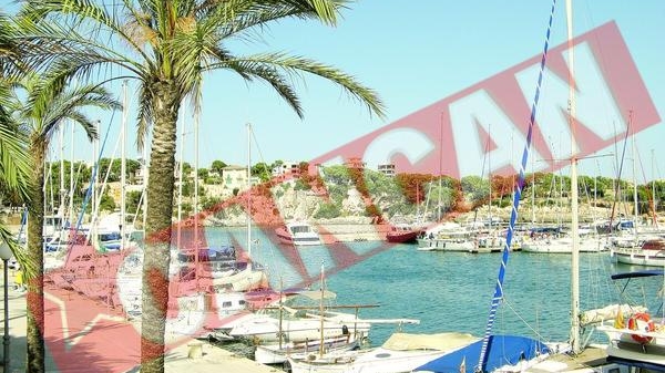 Vacante in strainatate la preturi reduse