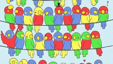 Test IQ exclusiv pentru genii | Identificați singurul papagal fără pereche!