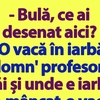 BANC | „Bulă, ce ai desenat aici?”