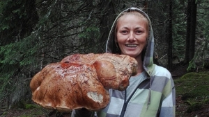Ciupercă gigantică de cinci kilograme, găsită în Munţii Parâng