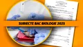 Subiecte BAC Biologie 2025. Ce le-a picat elevilor. Rezolvare și baremul de corectare pentru proba la alegere a profilului și specializării