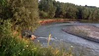 Dublă tragedie pe râul Trotuș. Un băiat de doar 12 ani și tatăl său și-au găsit sfârșitul duminică