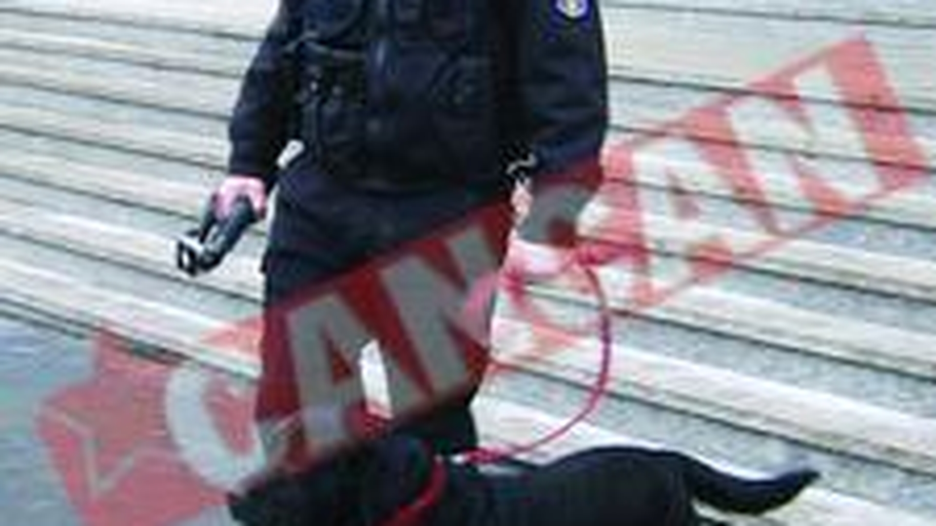 Amenintare cu bomba la Tribunalul Bucuresti