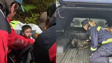 În timp ce căutau copilul dispărut, pompierii din Sibiu au găsit un câine blocat în mâl. Gest impresionant făcut de ei