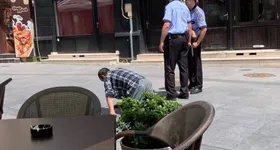 Galerie foto - poza 1