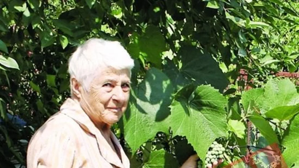 Ultimii bulgari din Capitala