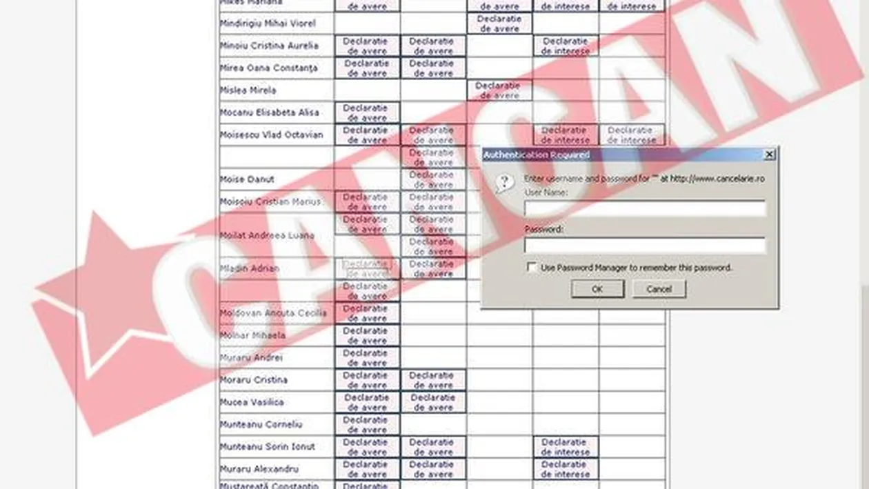 Declaratii de avere parolate, la guvern