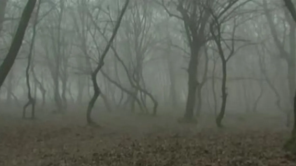 Locul BLESTEMAT din Romania! Ce se intampla aici i-a ingrozit pe locuitori! Nimeni nu stie care este explicatia