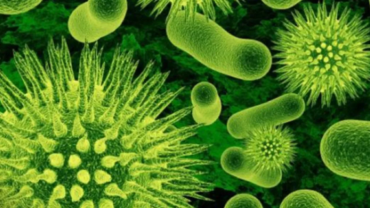 Încă un virus periculos îi bagă în alertă pe specialiști! Nu există tratament, iar mortalitatea e mare