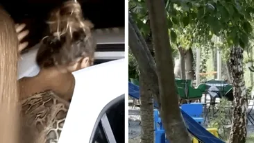 Tragedie la o creșă privată din Timișoara! Un băiețel de aproape 2 ani a murit înecat într-un iaz