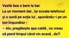 Bancul de sâmbătă | Vasile bea o bere la bar