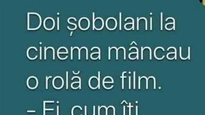 BANCUL ZILEI | Doi șobolani, la cinema