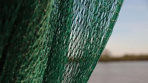 (P) Rolul plasei de umbrire în grădinărit: Protecție, eficiență și economisire