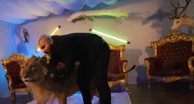 Galerie foto - poza 3