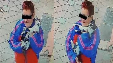 Angajații unui cabinet veterinar din Iași au cerut ajutorul pe Facebook: “Această doamnă a luat un motan, nu știm ce intenții a avut”