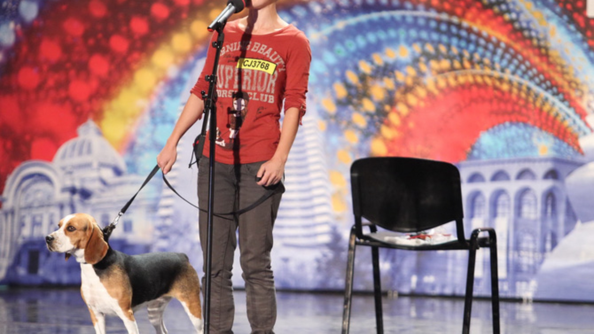De la "Stapanii au talent" la "Romanii au talent"! Iulia isi dreseaza catelusa beagle de la trei luni