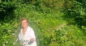 Galerie foto - poza 3