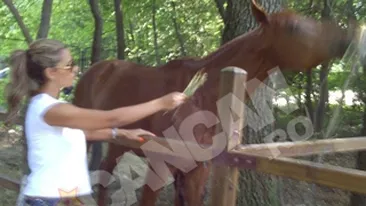 Madalina Radu, fascinata de cai! Imi pare rau ca nu i-am calarit