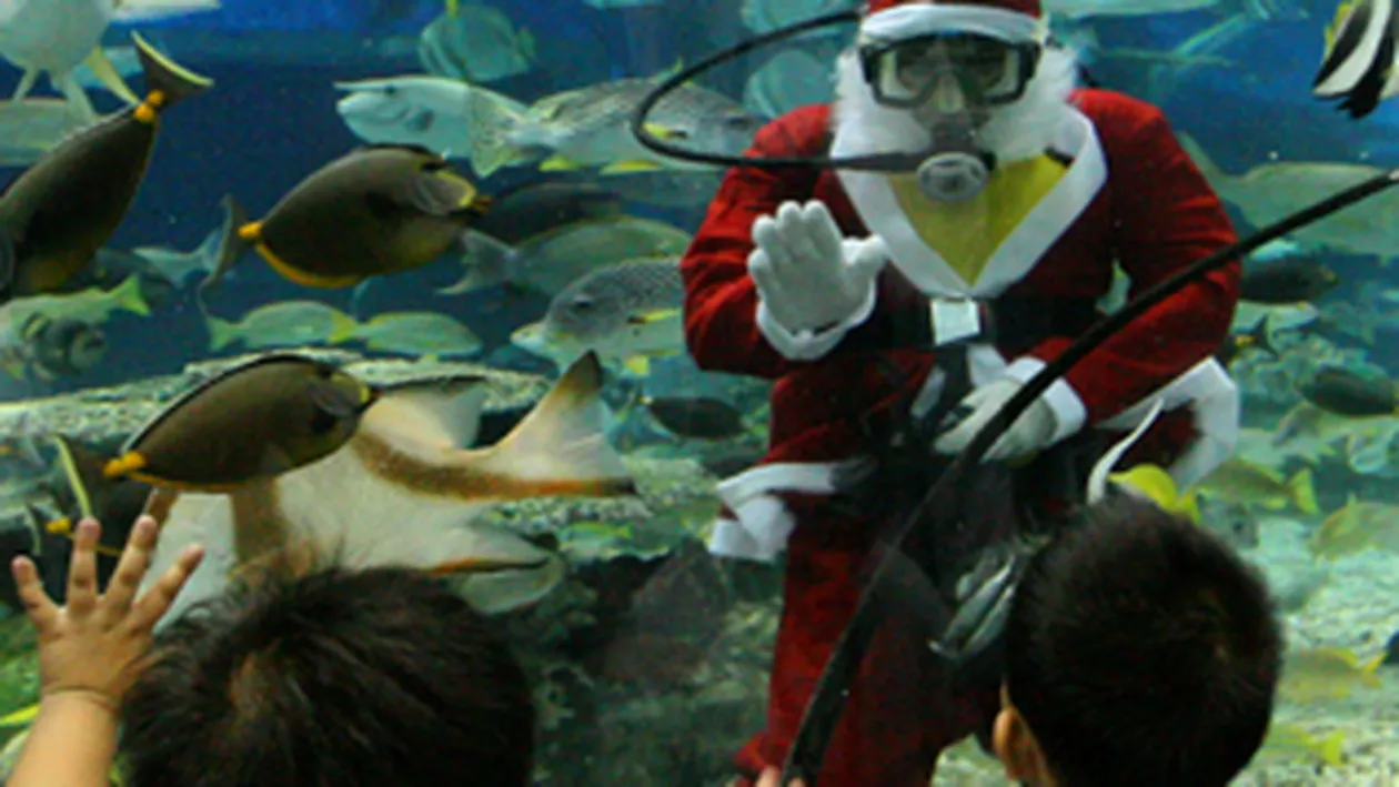 Mosul a intrat la apa