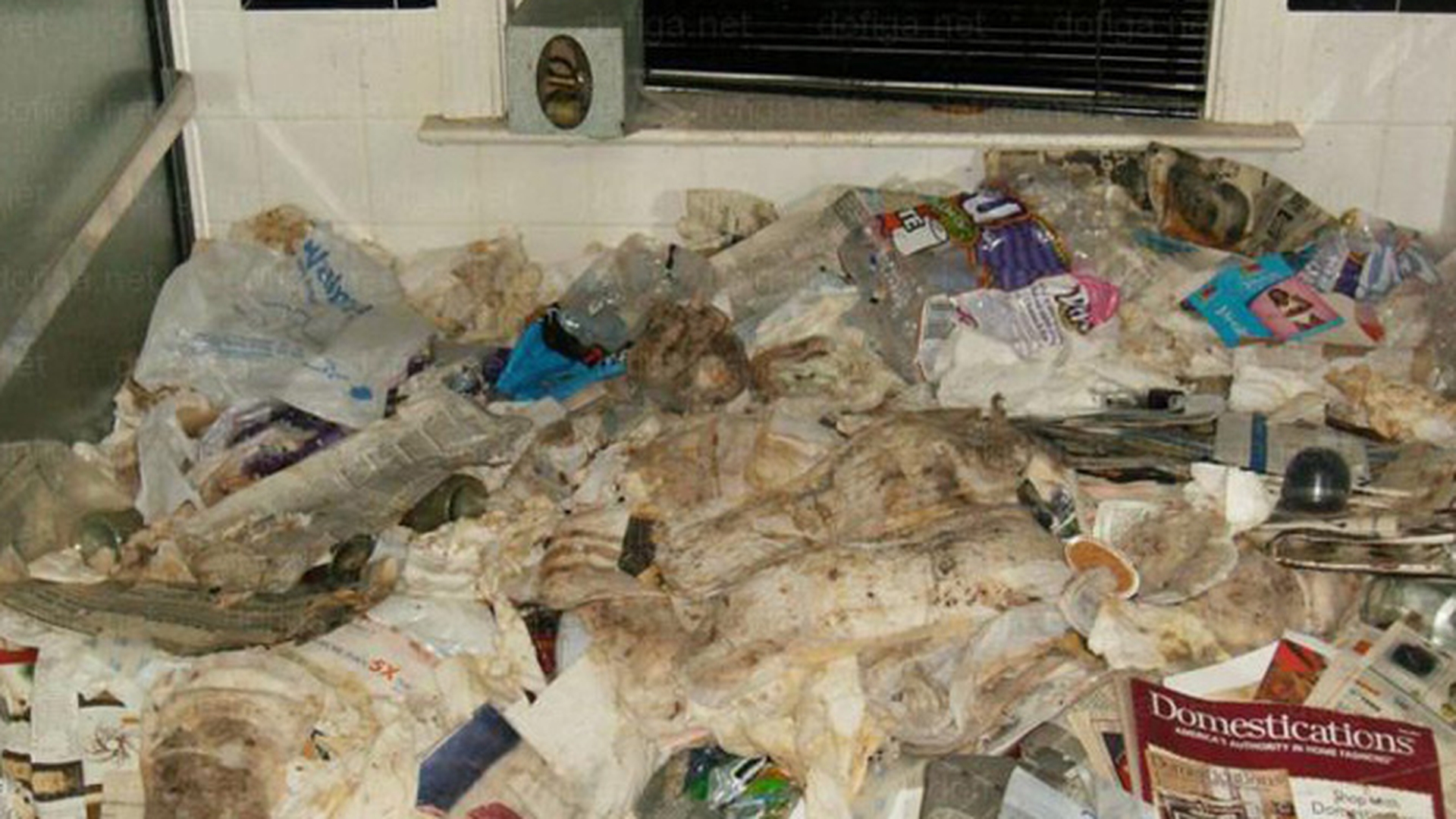Credeai ca la tine in casa e dezordine si murdar?! O sa-ti vina sa vomiti cand o sa vezi in ce conditii traiesc astia - Sobolanii au fugit de la ei din casa pentru ca nu mai suportau mirosul