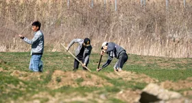 Galerie foto - poza 1