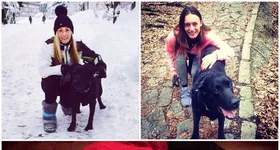 Galerie foto - poza 4