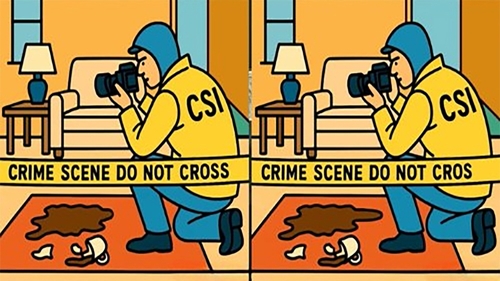 Test de logică | În maximum 31 de secunde, identificați toate cele 3 diferențe între aceste două imagini!