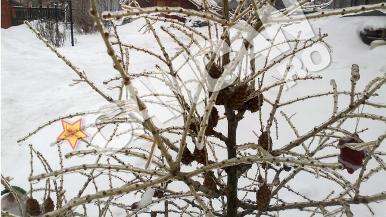 Uite cum s-a vazut ploaia inghetata in Bucuresti! Imagini primite de la cititorii CANCAN!