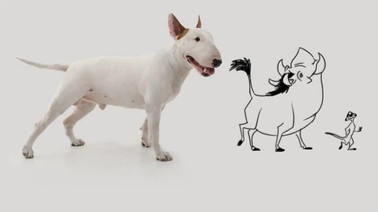 Soţia l-a părăsit şi a luat tot, în afară de câine. Vezi ce a făcut acest bărbat! 