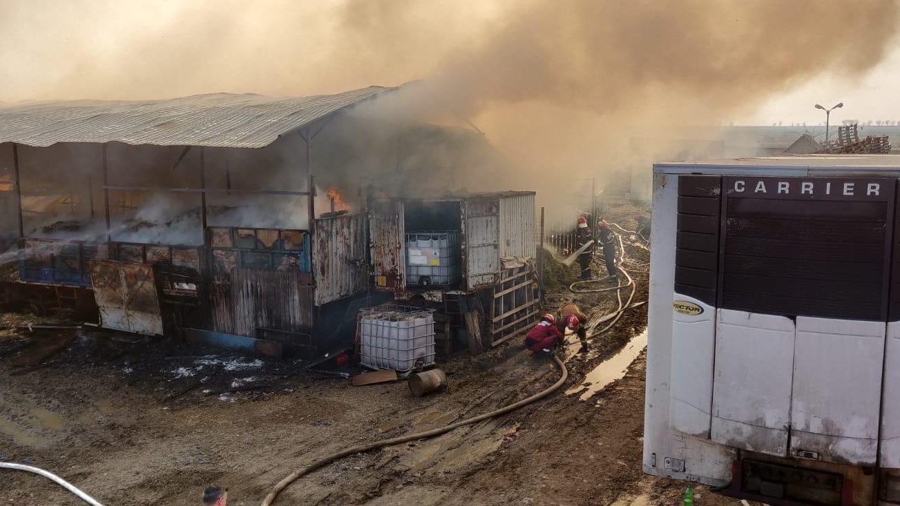Incendiu violent în Prahova. Pompierii se luptă cu flăcări imense | VIDEO EXCLUSIV