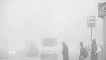 COD GALBEN de CEATĂ în mai multe zone din tară!