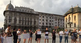 Galerie foto - poza 1