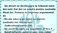 Bancul de weekend | Doi soți se ceartă pentru custodia fiicei lor