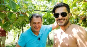 Galerie foto - poza 4