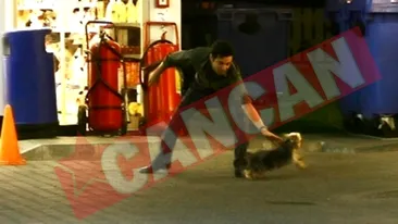 Il doare in palarie de catelusul Iuliei