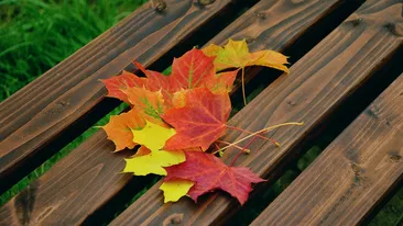 Prognoza meteo pentru azi, 23 septembrie 2019. Meteorologii nu au vești bune: vin ploile