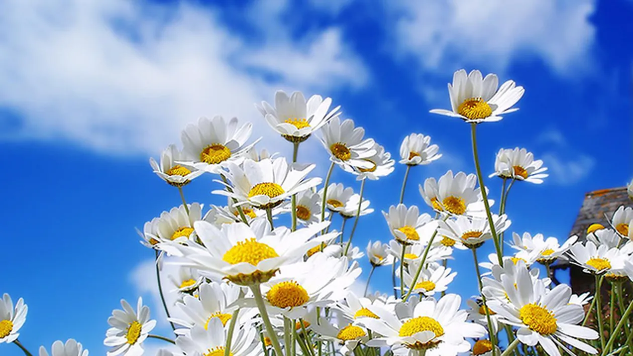 Ti-ai facut planuri pentru weekend? Afla aici cum va fi vremea sambata si duminica in tara, la Bucuresti si la munte