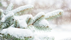 Prognoza meteo azi, 12 ianuarie 2026. Ninge în toată țara: România, sub semnul iernii adevărate și al gerului persistent
