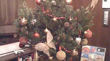 Uite cum arata bradul de Craciun al Andreei Patrascu si ce iti doreste iubita lui Cabral de Sarbatori