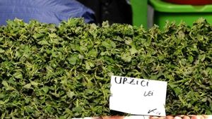 Cât au ajuns să coste urzicile acum, în februarie 2026. Românii cumpără 100-200 de grame