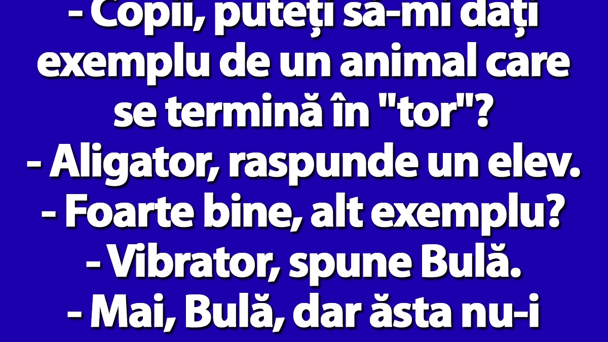 BANCUL ZILEI | Profesoara: "Bulă, dă-mi exemplu de un animal care se termină în TOR!"