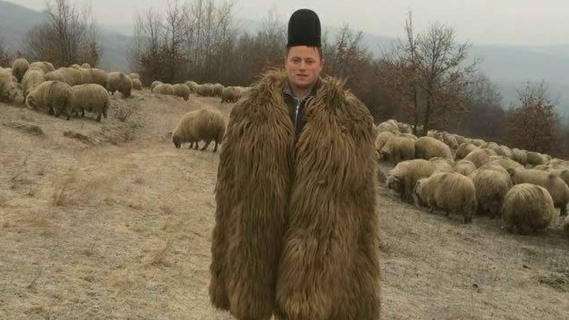 Sus in deal, e-o casa si acolo-i mandra lui! Uite ce farmece aparte are sotia lui Ghita Ciobanu'! Asa l-a cucerit din prima clipa!