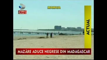 Radu Mazare are planuri mari pentru acest sezon estival! Vezi cu ce isi vor incanta turistii privirea seara de seara, la mare