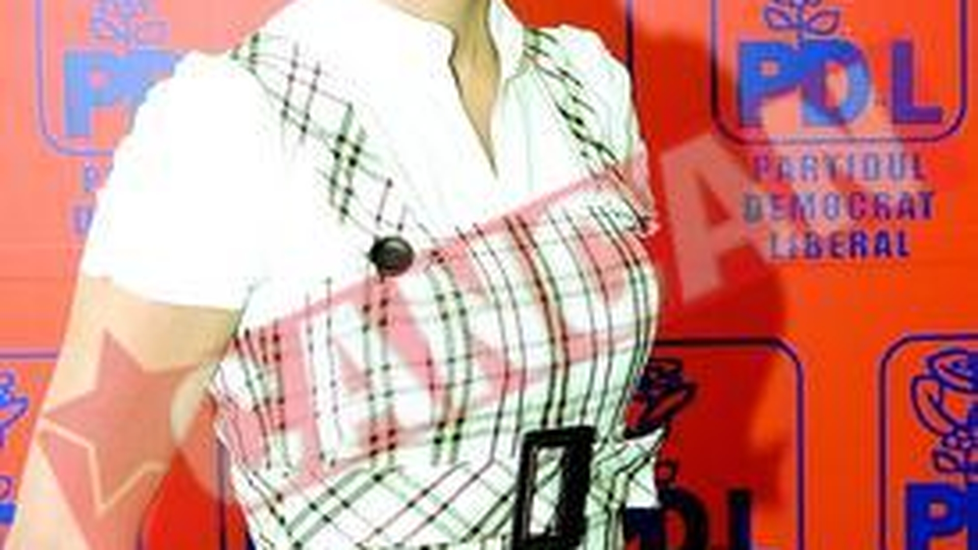 Blonda sexy a PD-l care face programul de guvernare