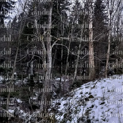 Imagine Galerie #2
