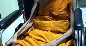 Galerie foto - poza 4