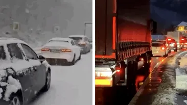 Haos pe Valea Oltului! Zeci de mașini au fost blocate din cauza ninsorii