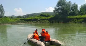 Galerie foto - poza 2