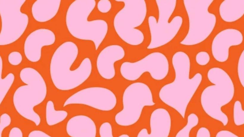 Iluzie optică virală | În această poză se ascunde o siluetă de pisică. O poți găsi în 5 secunde?