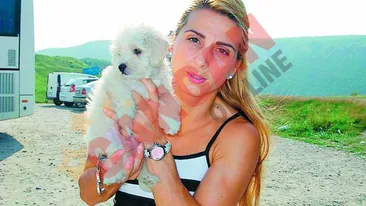 Alina Dumitru are un bichon maltez